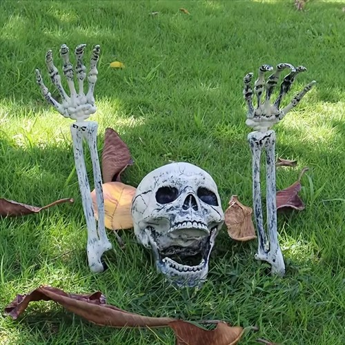 Human skull arm replica model - human,