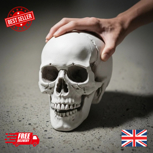 Realistic life size human - life,