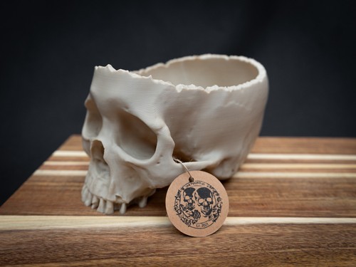 Human skull bowl - skull,