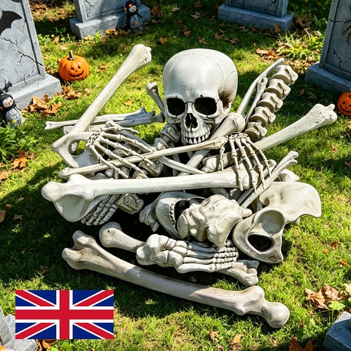 28x bag bones - bones, skull