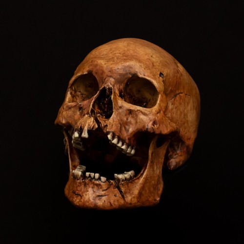 Human skull replica painted - replica,