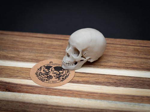 Mini human skull replica - mini, –