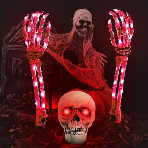 Skeleton bones prop - prop, ground