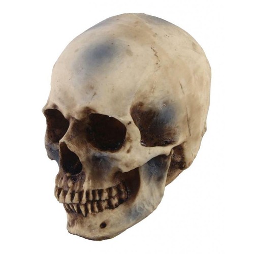 Life size resin human - size,